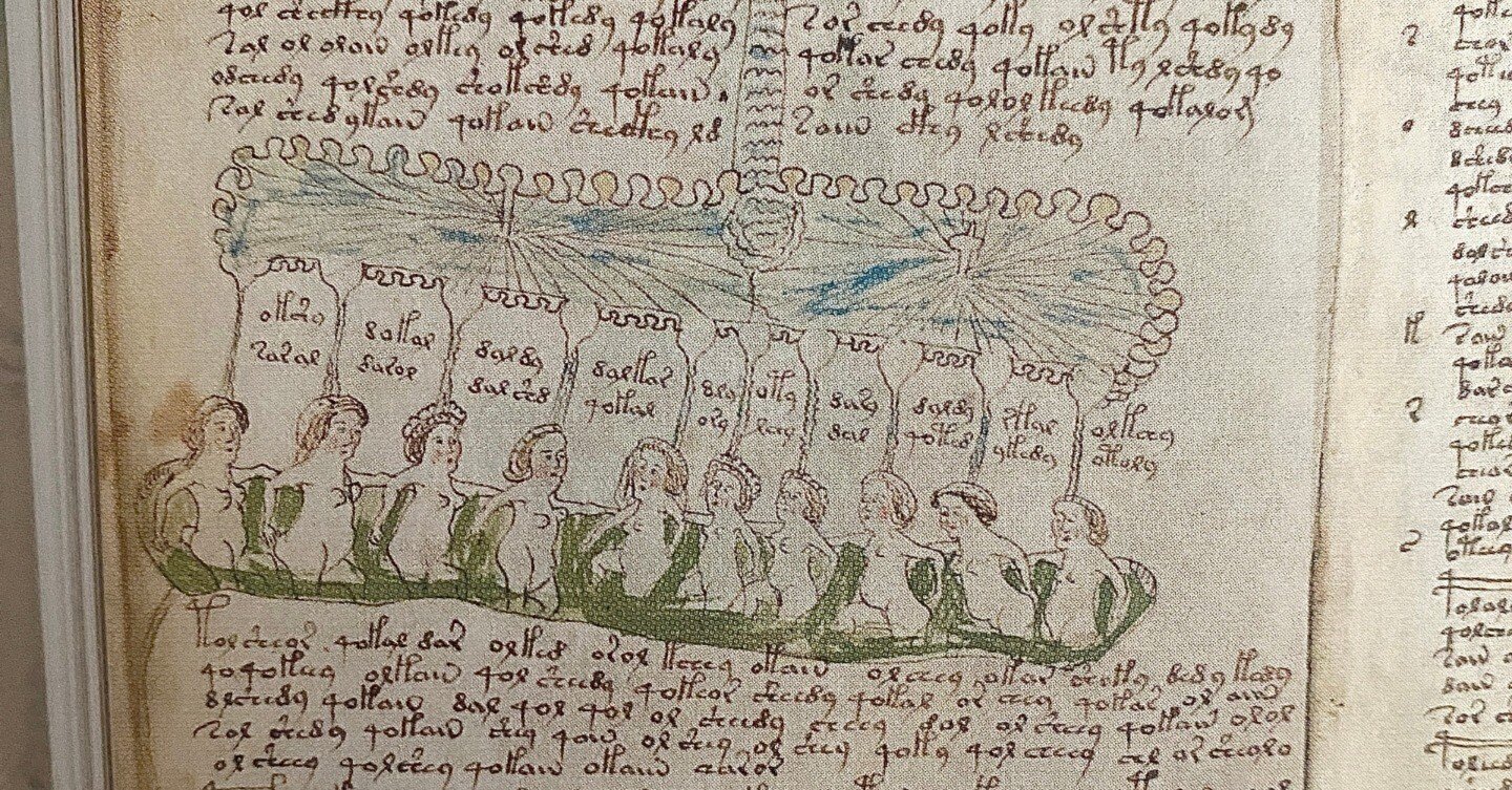 ヴォイニッチ手稿の秘密』 ーVoynich Manuscript｜Lulu's Cabinet