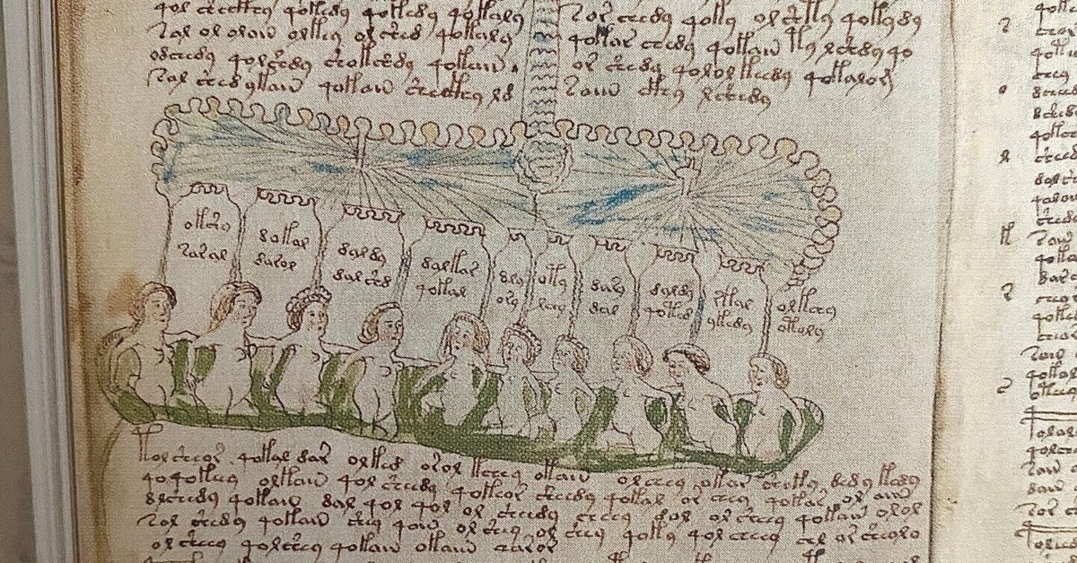 ヴォイニッチ手稿 ハードカバー the Voynich Manuscript - 洋書