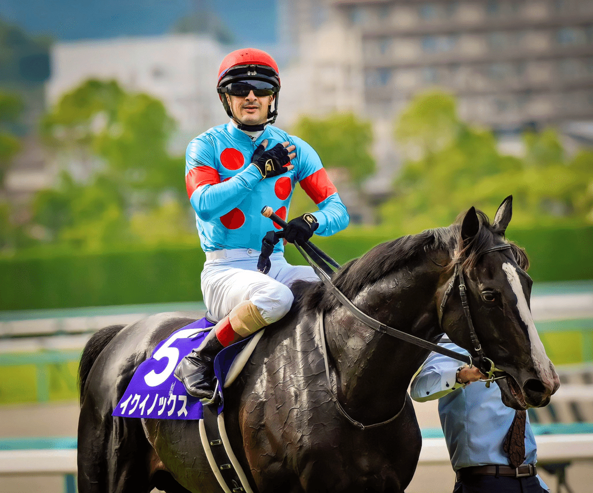 11年前の再現なるか！？2強対決🔥🔥｜競馬予想 ダッシャーゴーゴー