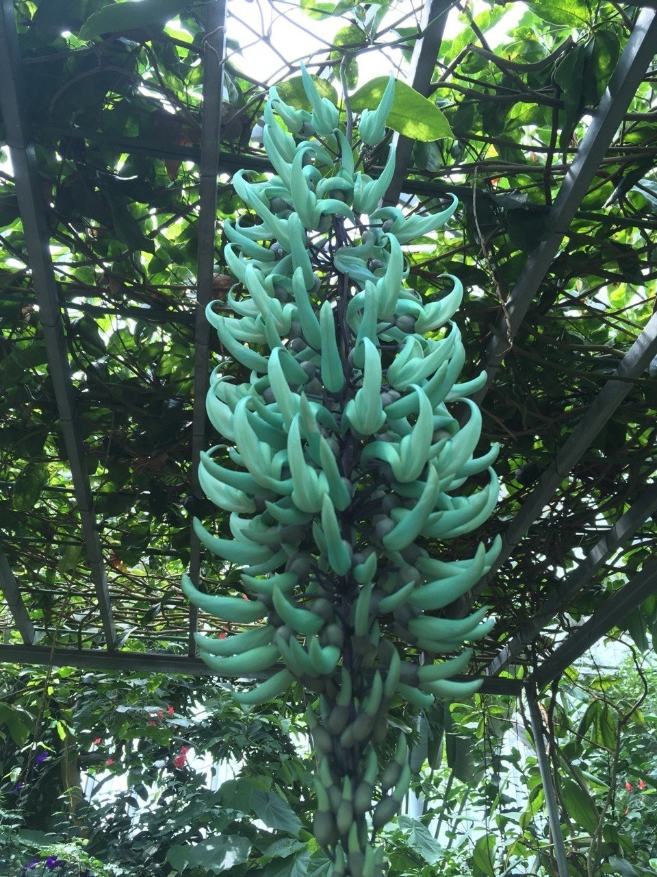 19 6 4 新宿御苑 Kga Note