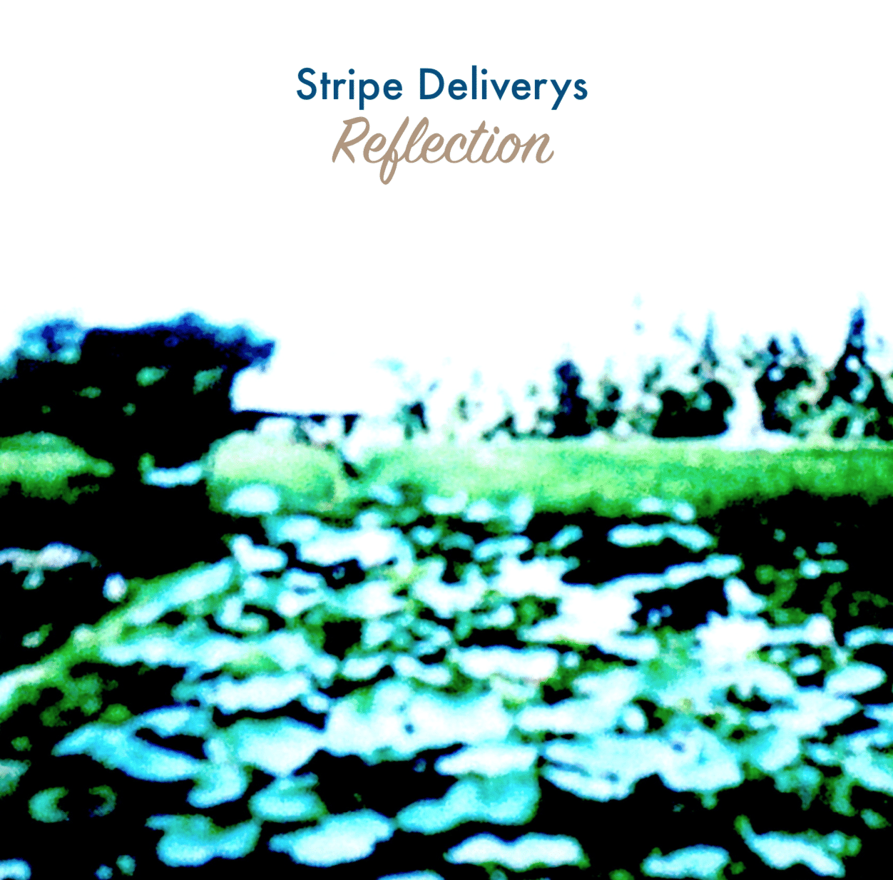 Reflection|長澤 嬴eastmedi