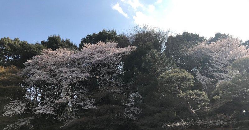 【６】タケシタシミチ（健康恢復の医療法）41～48首