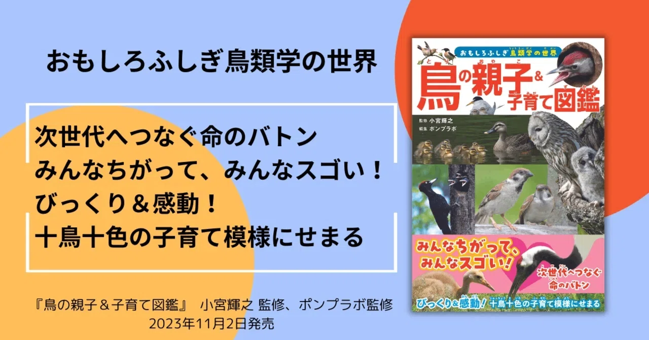 鳥たちの繁殖のひみつにせまる！【鳥の親子＆子育て図鑑】｜カンゼン