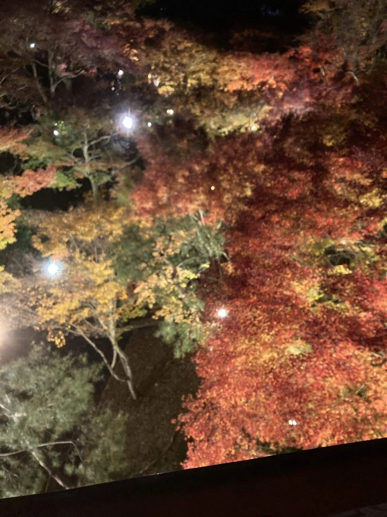 Tofukuji is a Zen Buddhist temple in Kyoto dating from the 13th century ...