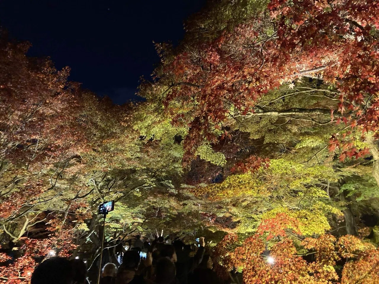 Tofukuji is a Zen Buddhist temple in Kyoto dating from the 13th century ...