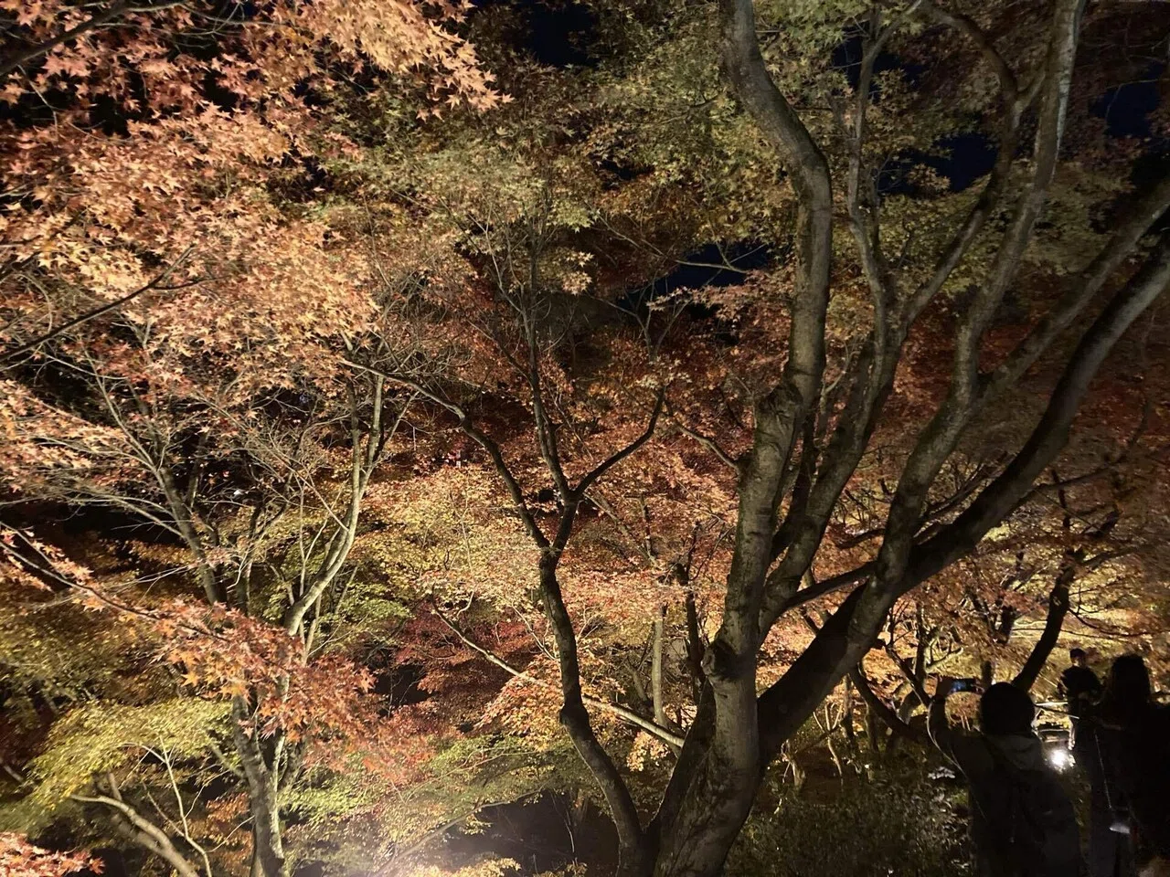 Tofukuji is a Zen Buddhist temple in Kyoto dating from the 13th century ...