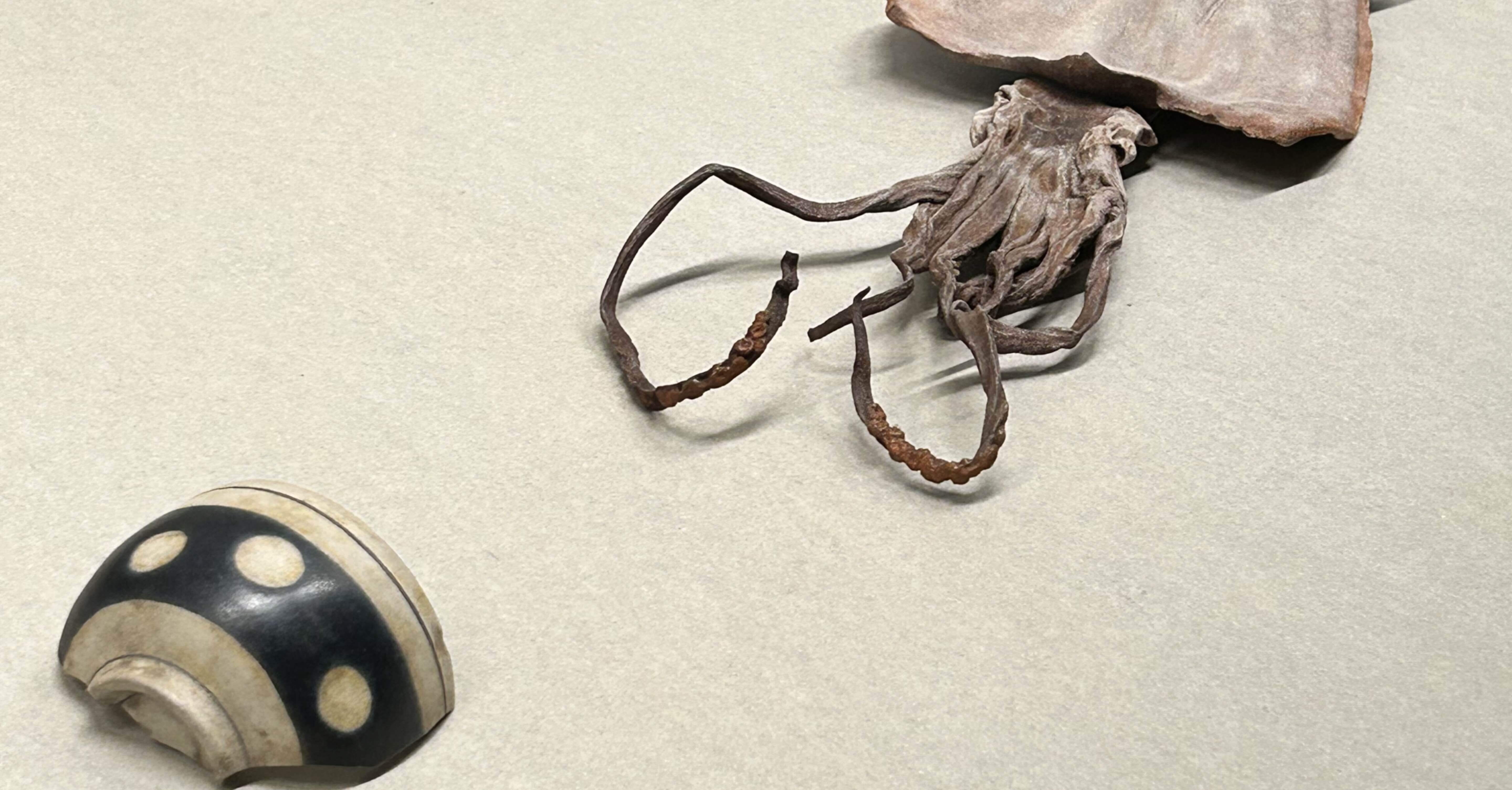 超絶技巧、未来へ！〜明治工芸とそのDNA@三井記念美術館｜港家小そめ