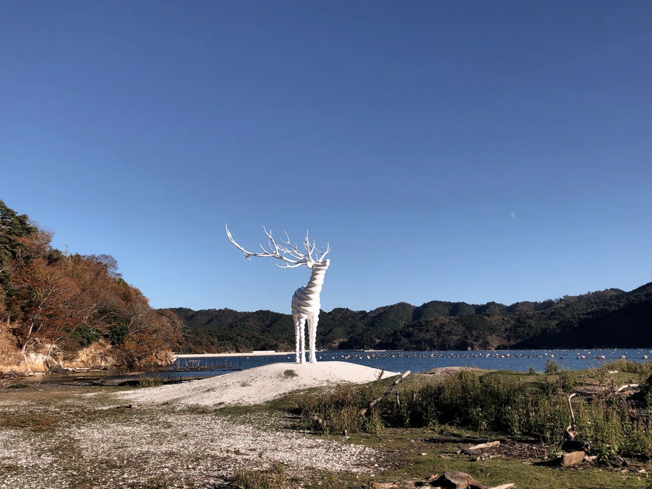 宮城県 牡鹿半島⠀】迷える鹿に見惚れる｜ あみ 小さな旅の記録