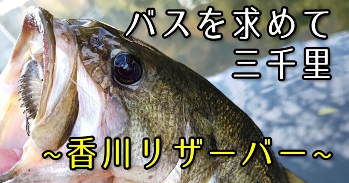 バス釣り バス釣り】ハートランドリベラリスト＆スティーズA TW HLCで