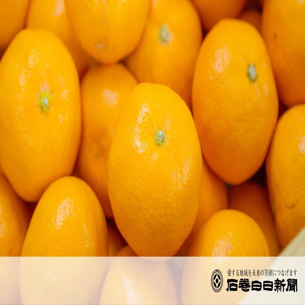 山下紅みかん｜ Oisix産直おとりよせ市場