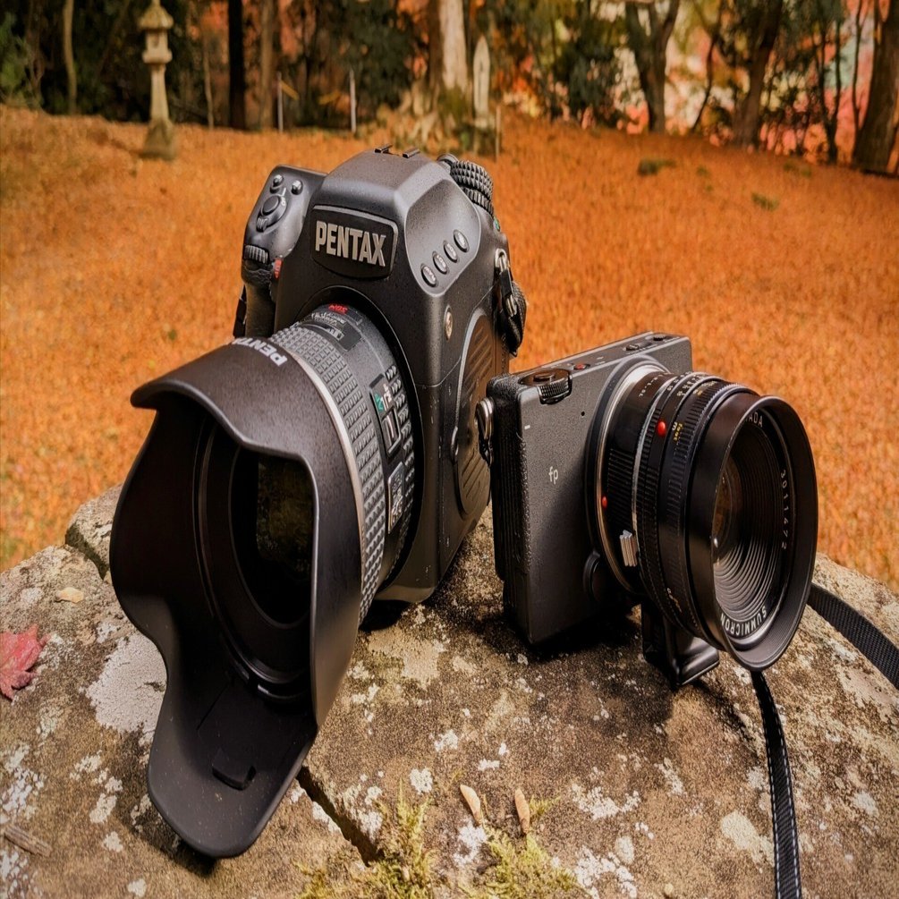 紅葉を撮りにPENTAX 645DとSIGMA fp携えて〜「撮らされる写真」｜鉄人