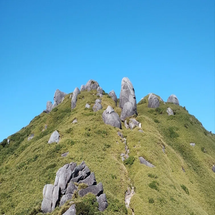 屋久島登山】三岳コンプリート！｜まりこ@NZワーホリ登山日記