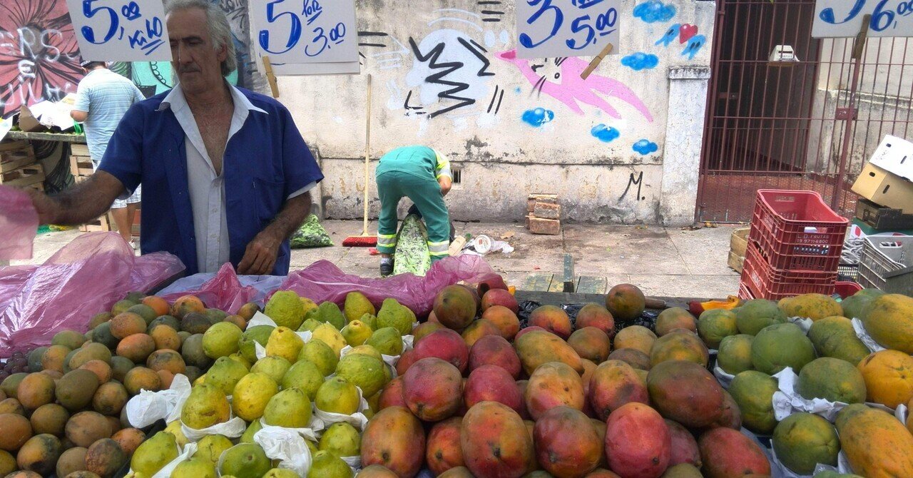 貴重【現地調達版】ブラジルフルーツの本「Frutas Brasileiras」 本