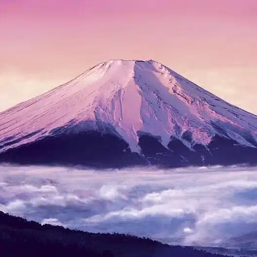 sunset よしえもん