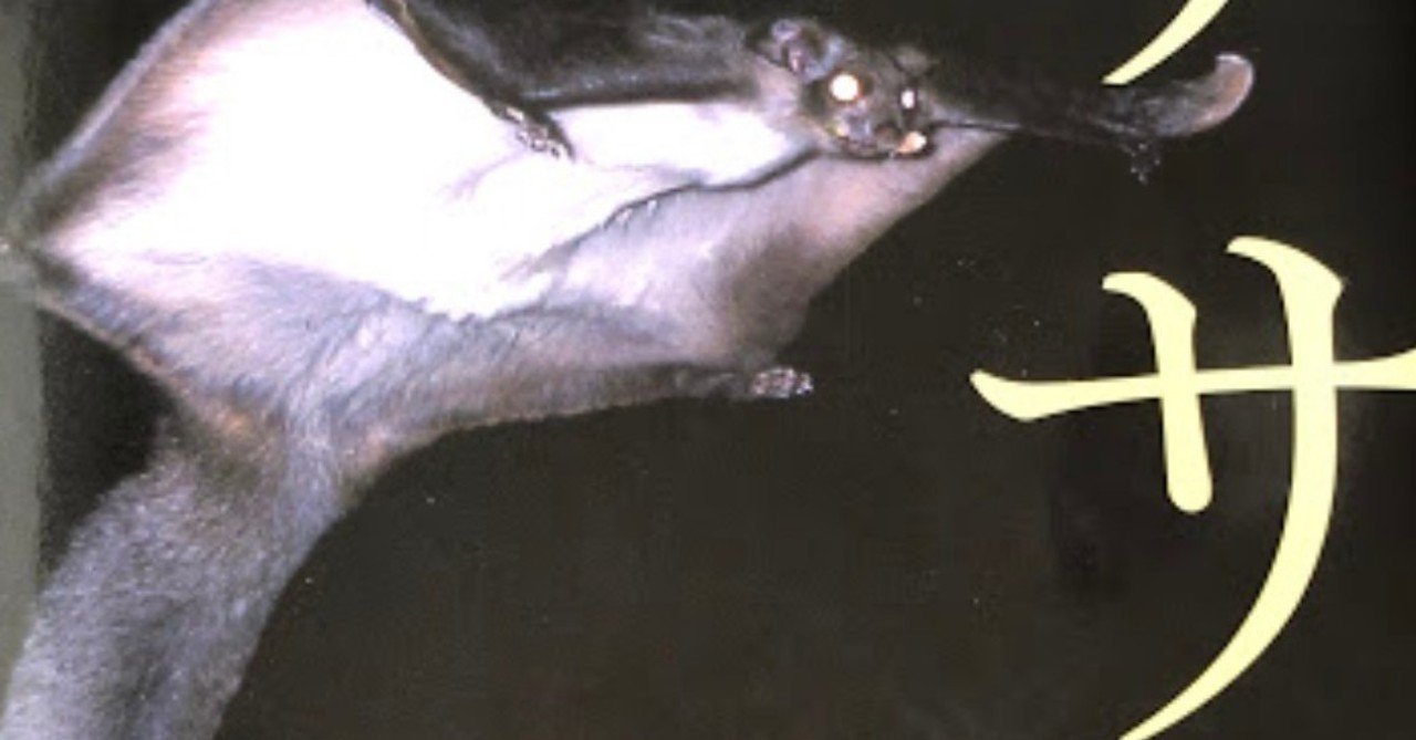 ムササビを観察する方法 テクニック編 サンポマスター Note ムササビを観察する方法 テクニック編 サンポマスター Note