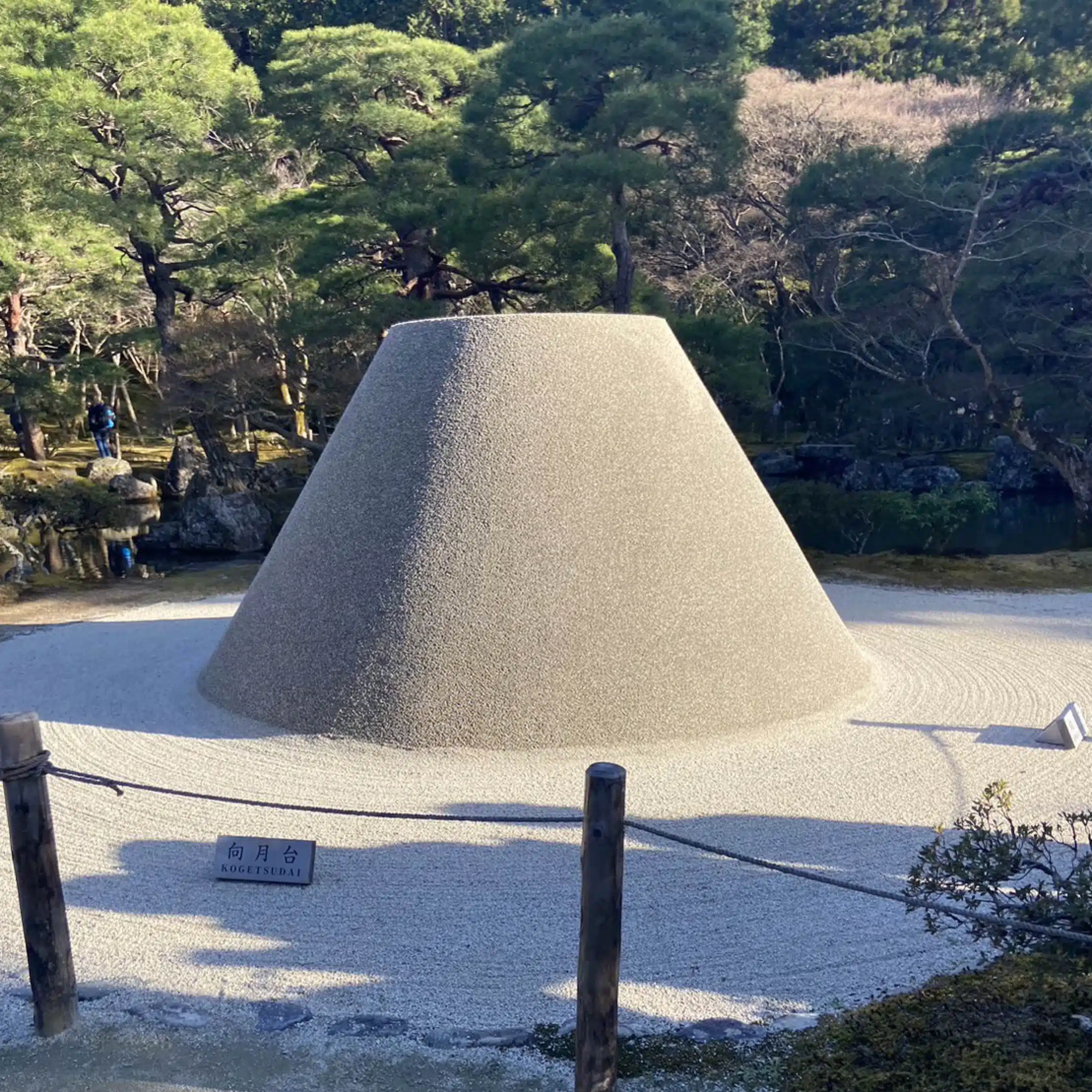 お茶きち