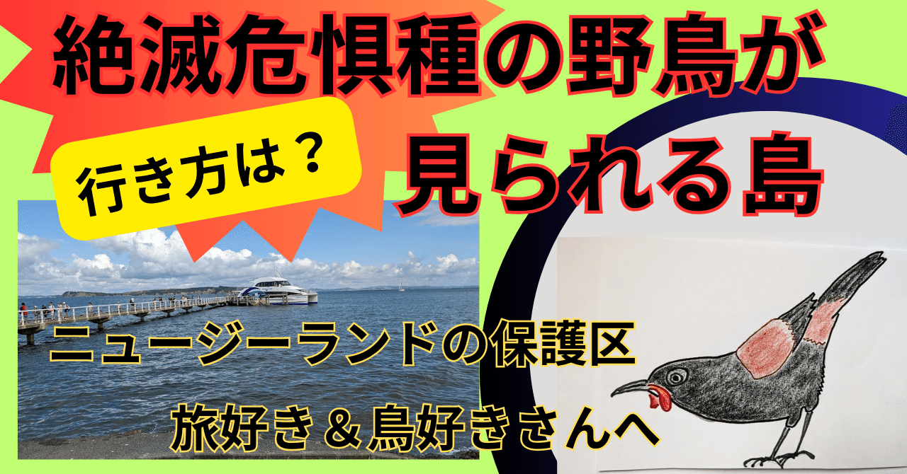 鳥好き必見💖絶滅危惧種の鳥が見られる島in ニュージーランド！行き方
