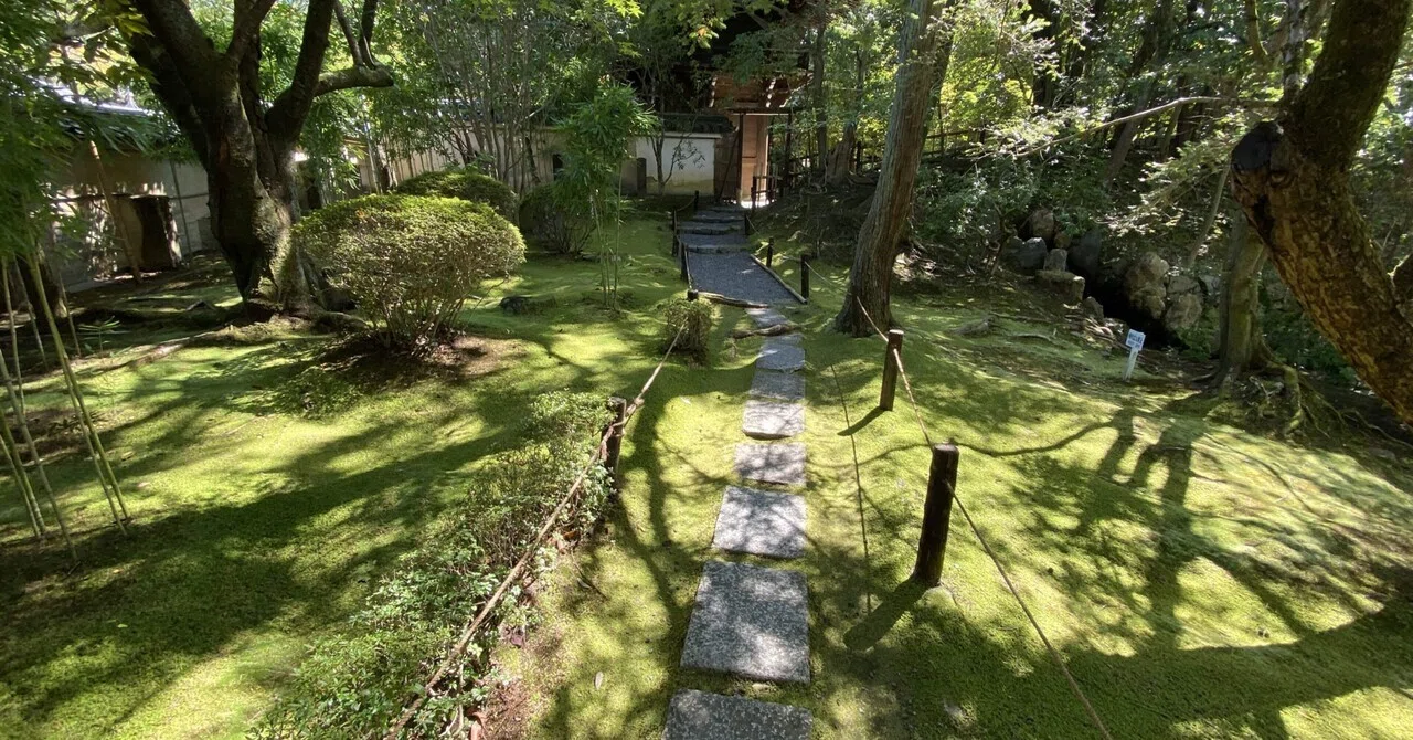 関西の茶碗展2023より（燕庵井戸 中之島 香雪美術館）｜お茶きち