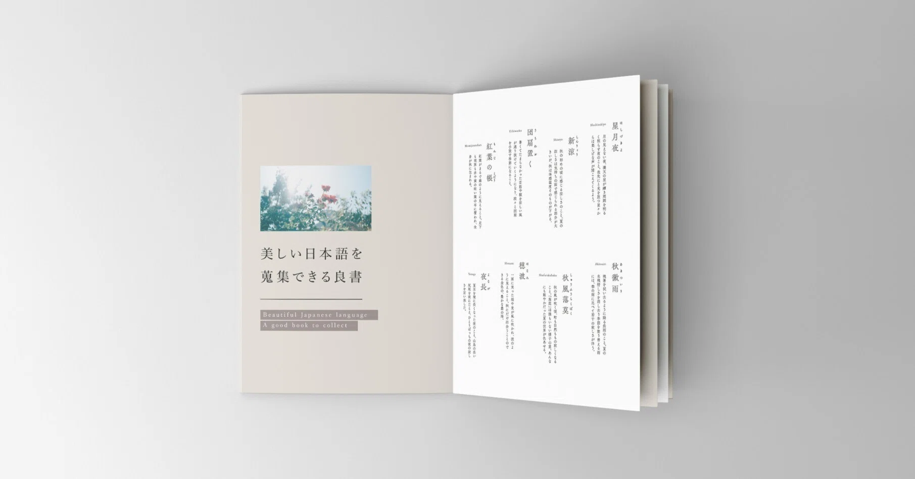 美しい日本語を蒐集できる良書10冊を紹介します ｜古性のち | Noci Kosho