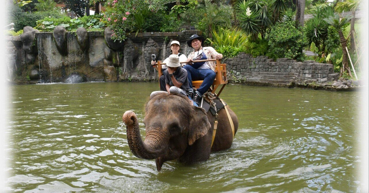 ☆多目的カントリー小物入れ⭐︎一輪挿し☆