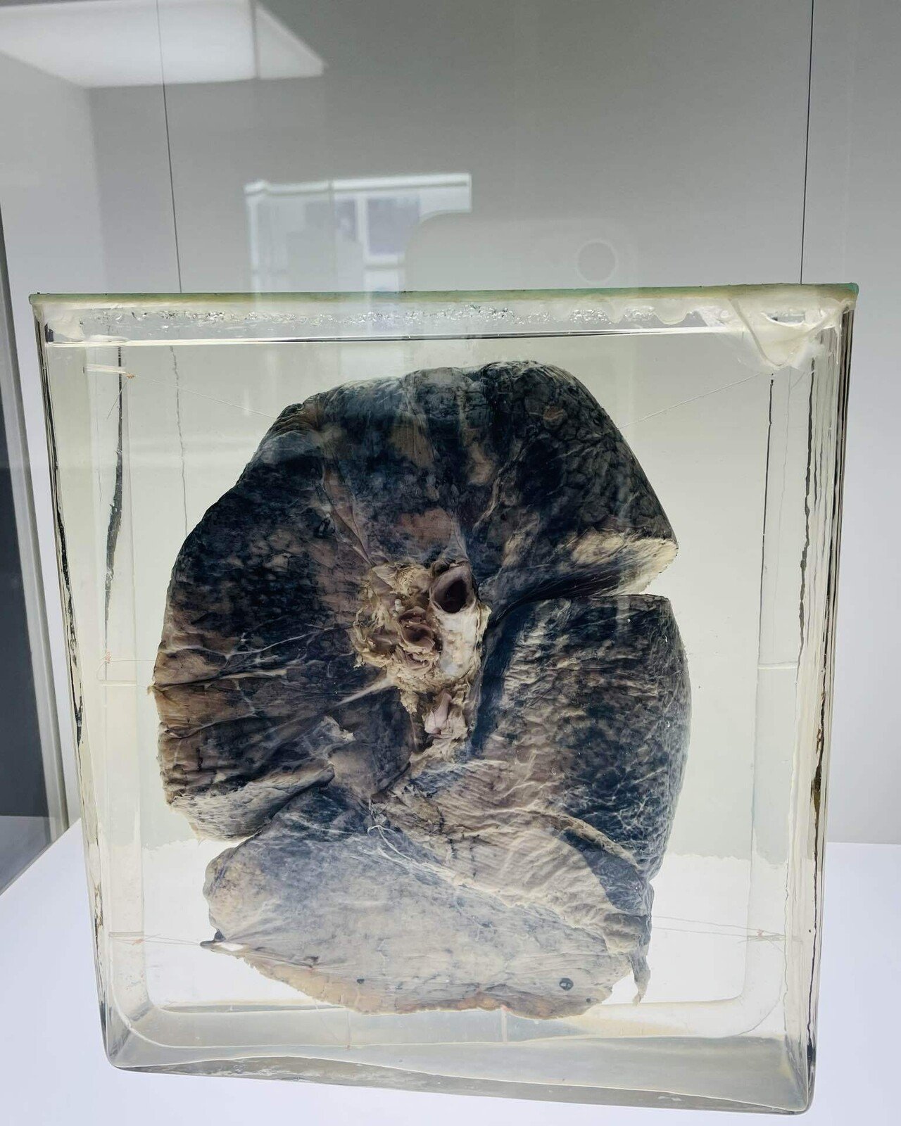 エッセン 世界遺産の炭鉱業遺跡群｜Dito