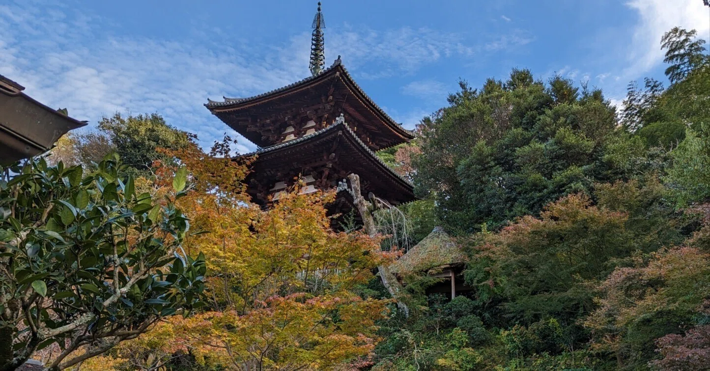 奈良🍁當麻寺と『ふたかみやま』｜さりー
