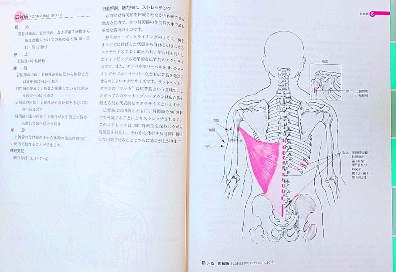 機能解剖学】オススメの本を紹介｜CHICKEN HEART TV