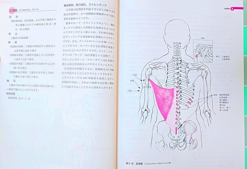 機能解剖学 オススメの本を紹介 Chicken Heart Tv Note