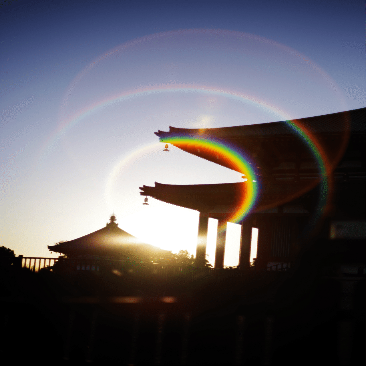 単焦点レンズと虹色フレア🌈と写真と私｜Aki Yamaki