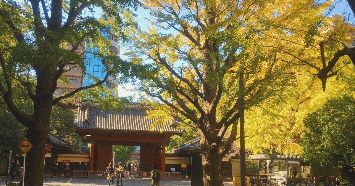 東大数学理系1961年前期 第5問解答解説｜学習院高等科 社会問題