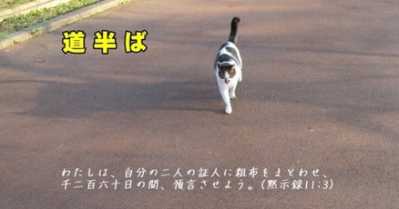 以西結書 : daily-sumus2