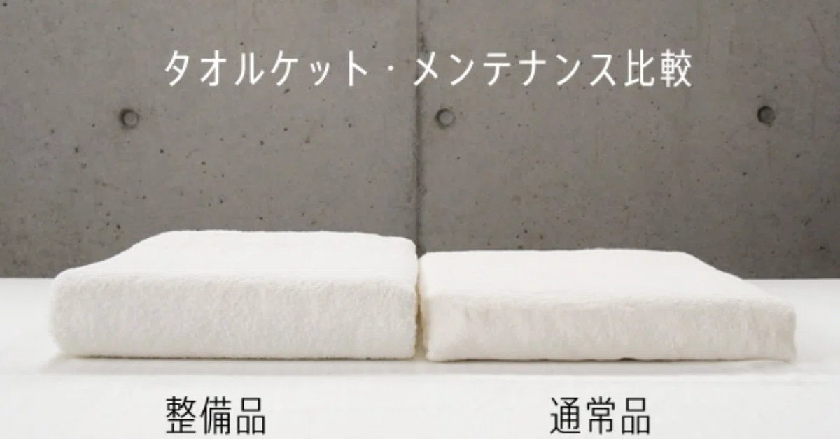 ☆¥29,700 IKEUCHI ORGANIC タオルケット バンブー540