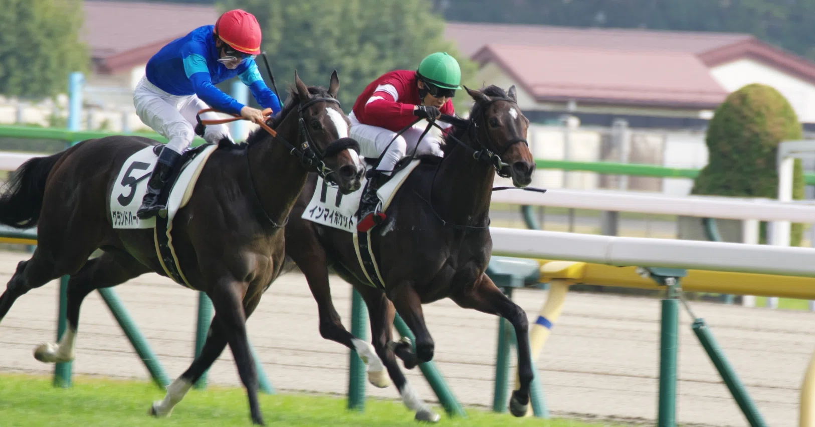 強者に不安要素を挙げても意味がない。競馬のジャパンカップでイク