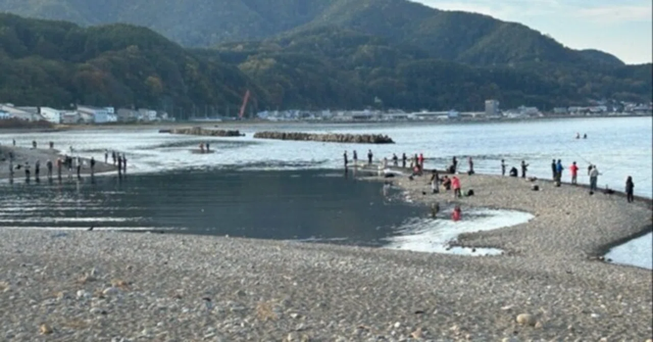 公の場での発言・インタビュー報道記録