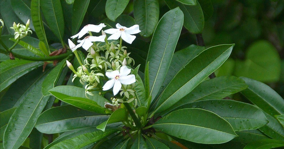 009fb720d28c9c7dd2731c1e62021e