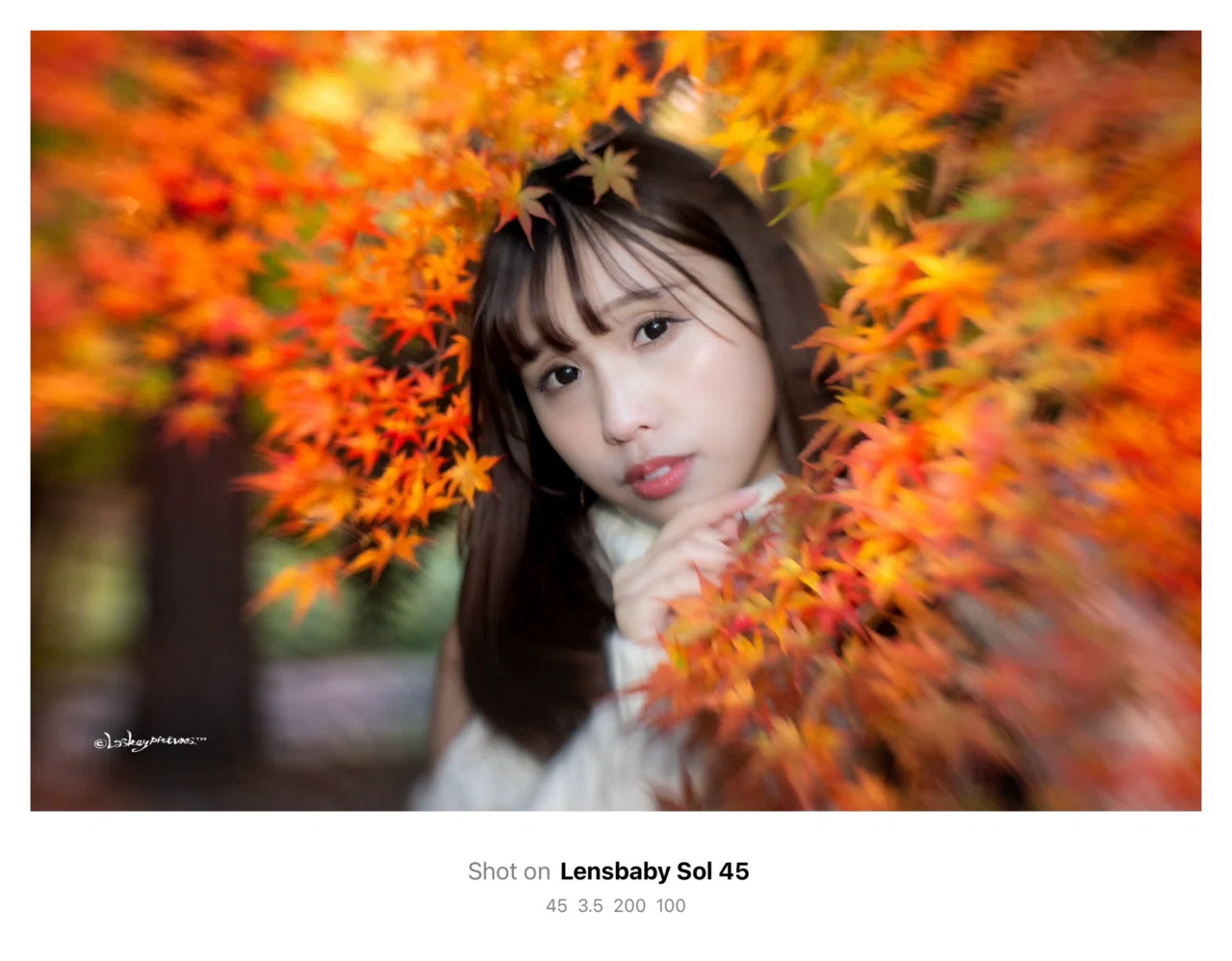 Lensbaby Sol 45mm f3 5 Laskeypictures
