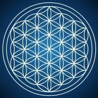 FOX_ナビエ（波動理論への跳躍）