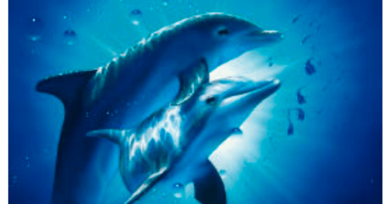 クリスチャン・ラッセン 版画 ミクスドメディア 「コンテントメント