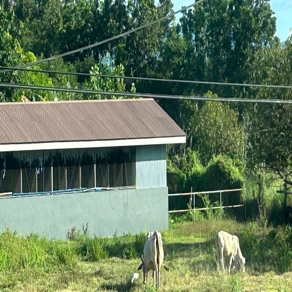 フィリピン旅行記〜旅行本番編その3:2日目 ルソン島大移動｜zm45