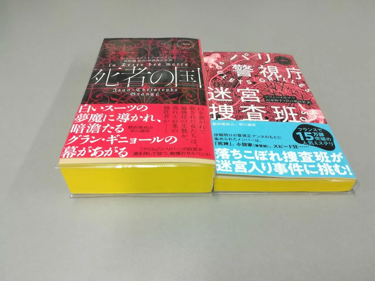 読める煉瓦発売中！ ジャン゠クリストフ・グランジェ『死者の国』厚さ