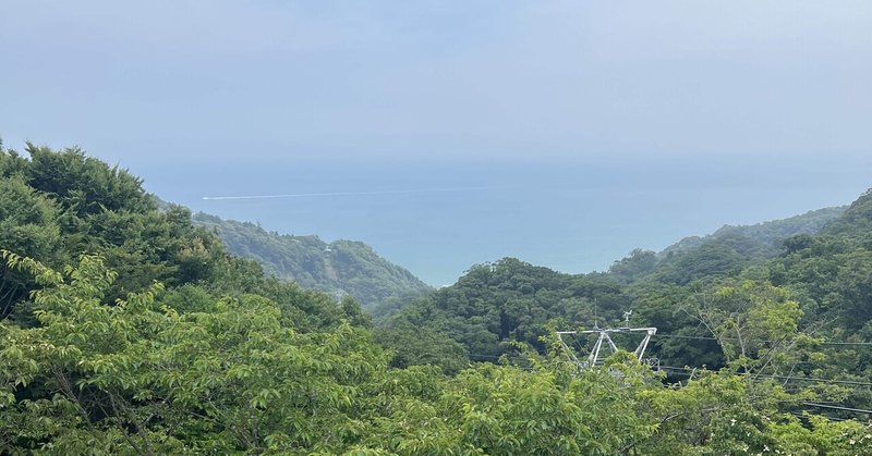 ふじのくに家康公きっぷで歩く②