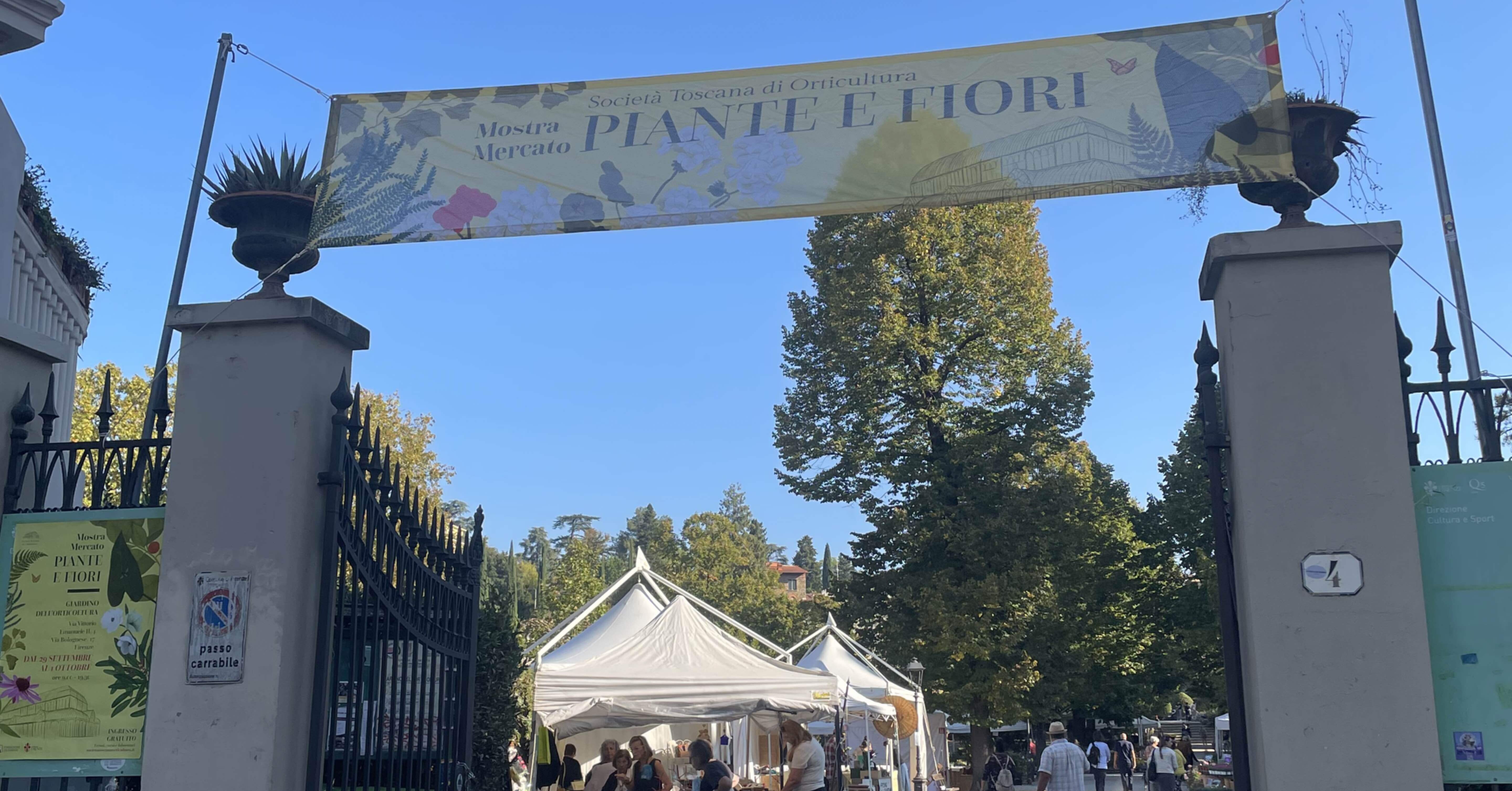 イタリア　フィレンツェ花祭り イタリア フィレンツェ花祭り 【公式通販】