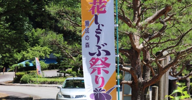 初夏の候、花菖蒲祭り_前日_2019。