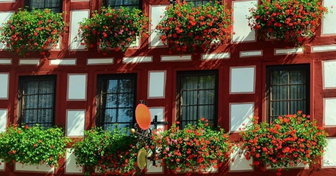 一緒に暮らしたいお花たち 虫除け効果のある植物 Michelle Note