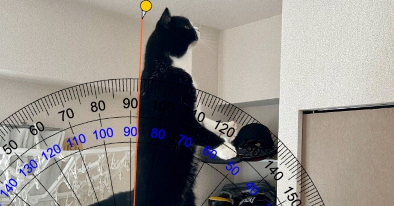 猫は2本足でまっすぐ立てるのか？本気を出した猫の背中を分度器で測ってみると…結果は88度→ほぼ垂直に立てることが判明｜Cat  Press（キャットプレス）, image size:1280x670