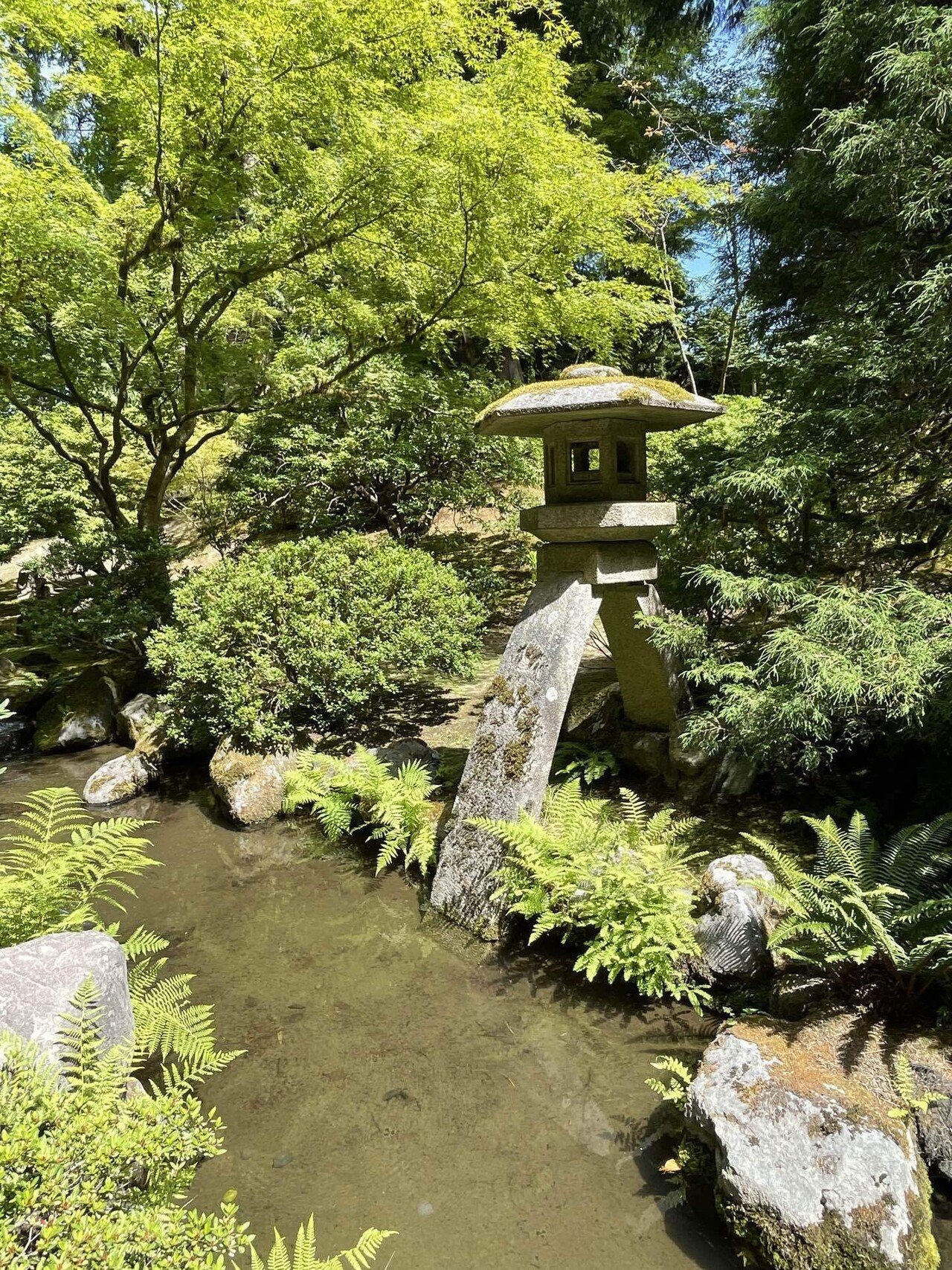 造園修景大事典全9巻セット 及び付録 日本有名庭園実測図集45名園付き 850点余の写真で描く名庭園の思想と世界『全貌 日本庭園