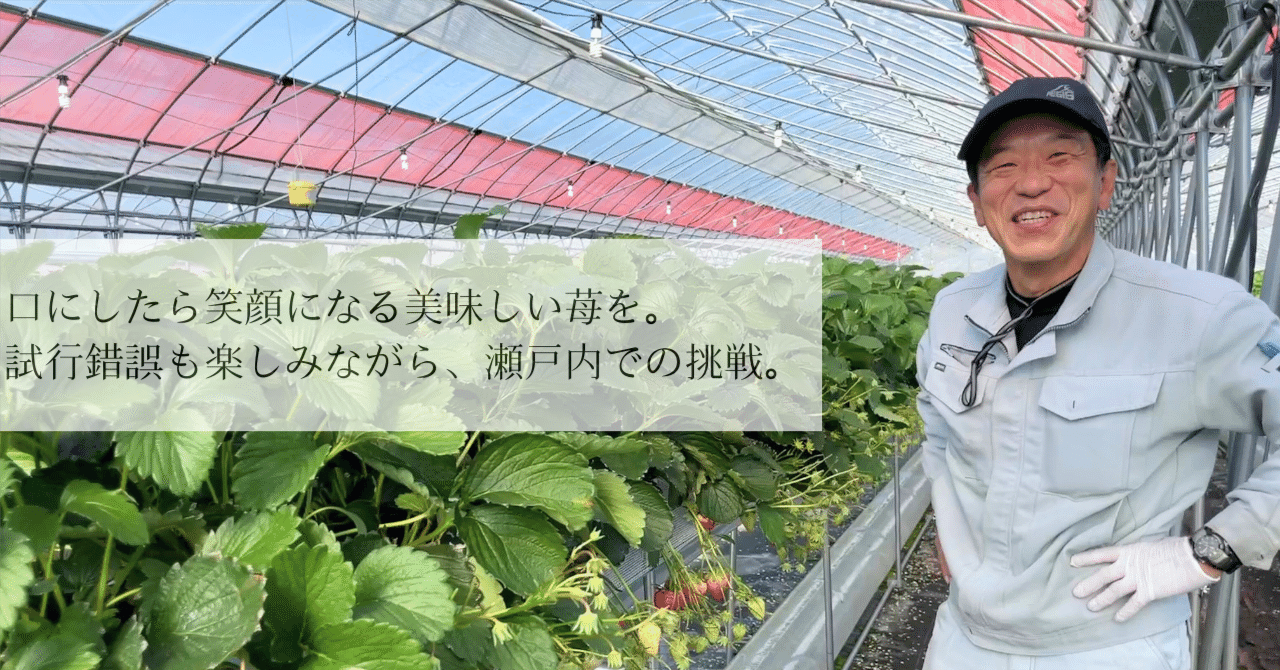 口にしたら笑顔になる美味しい苺を。試行錯誤も楽しみながら、瀬戸内で