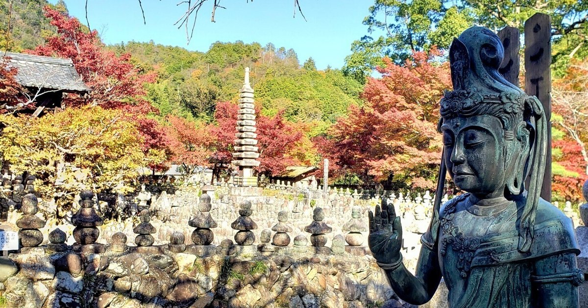京都へ行こう❣【231】｜ひばりん