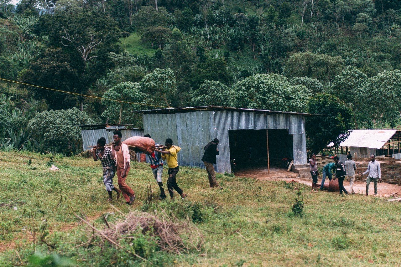 ダイレクトトレードを知ろう エチオピアのコーヒー流通の事例 川野優馬 Light Up Coffee Note