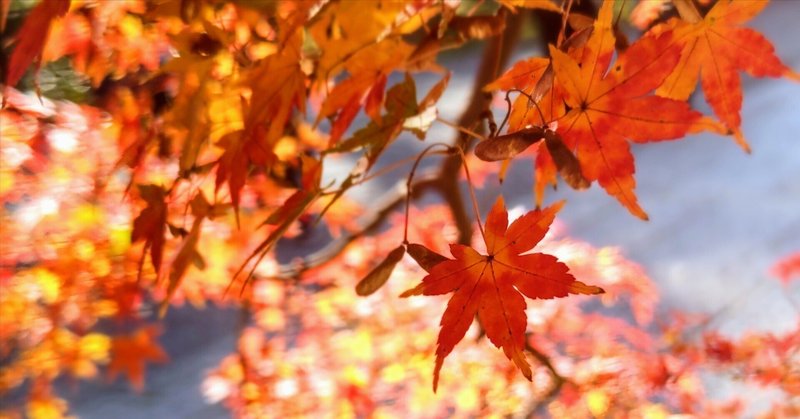 ぐっばい11月、うぇるかむ12月